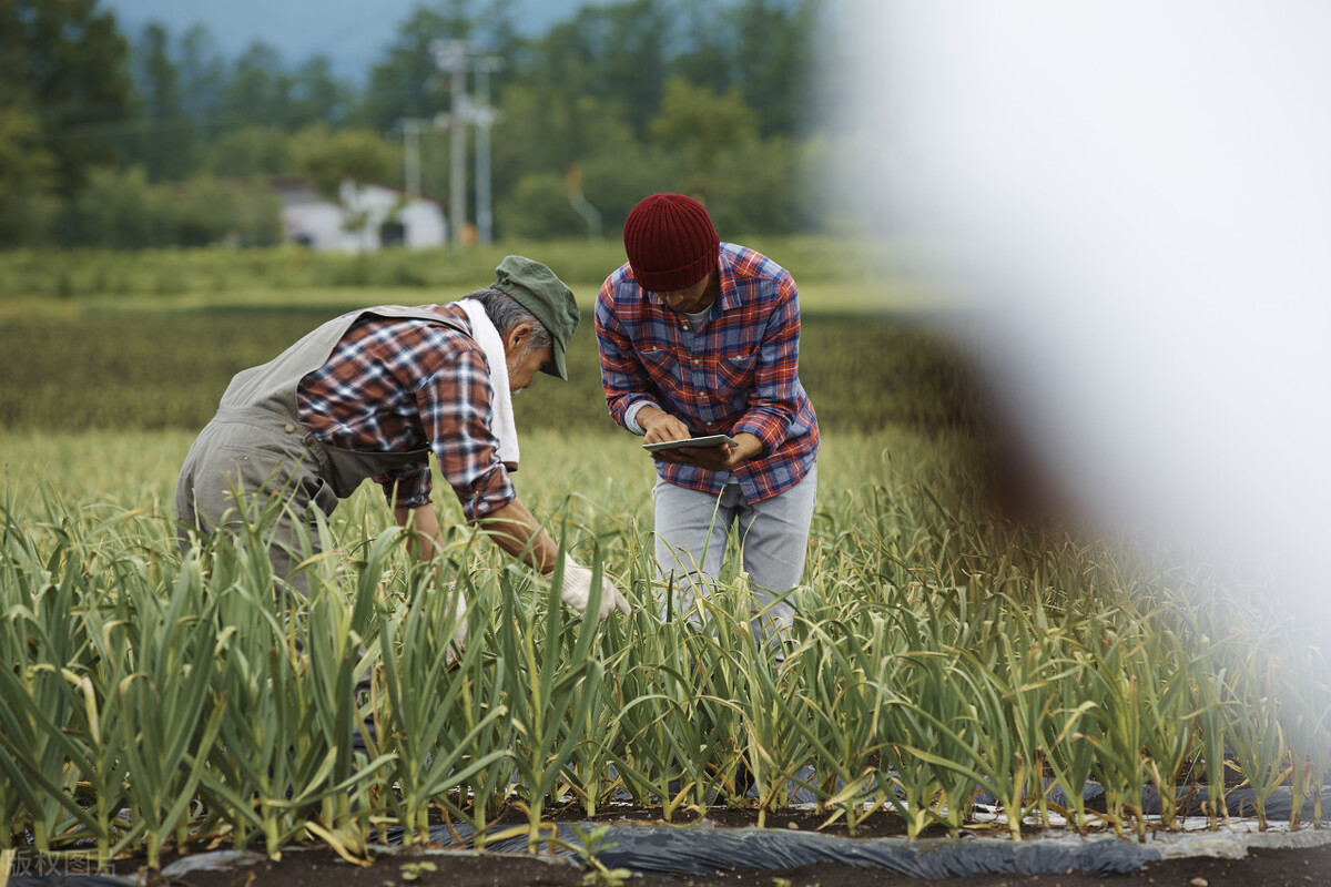 我在日本打工的那些日子,八十后的我在日本