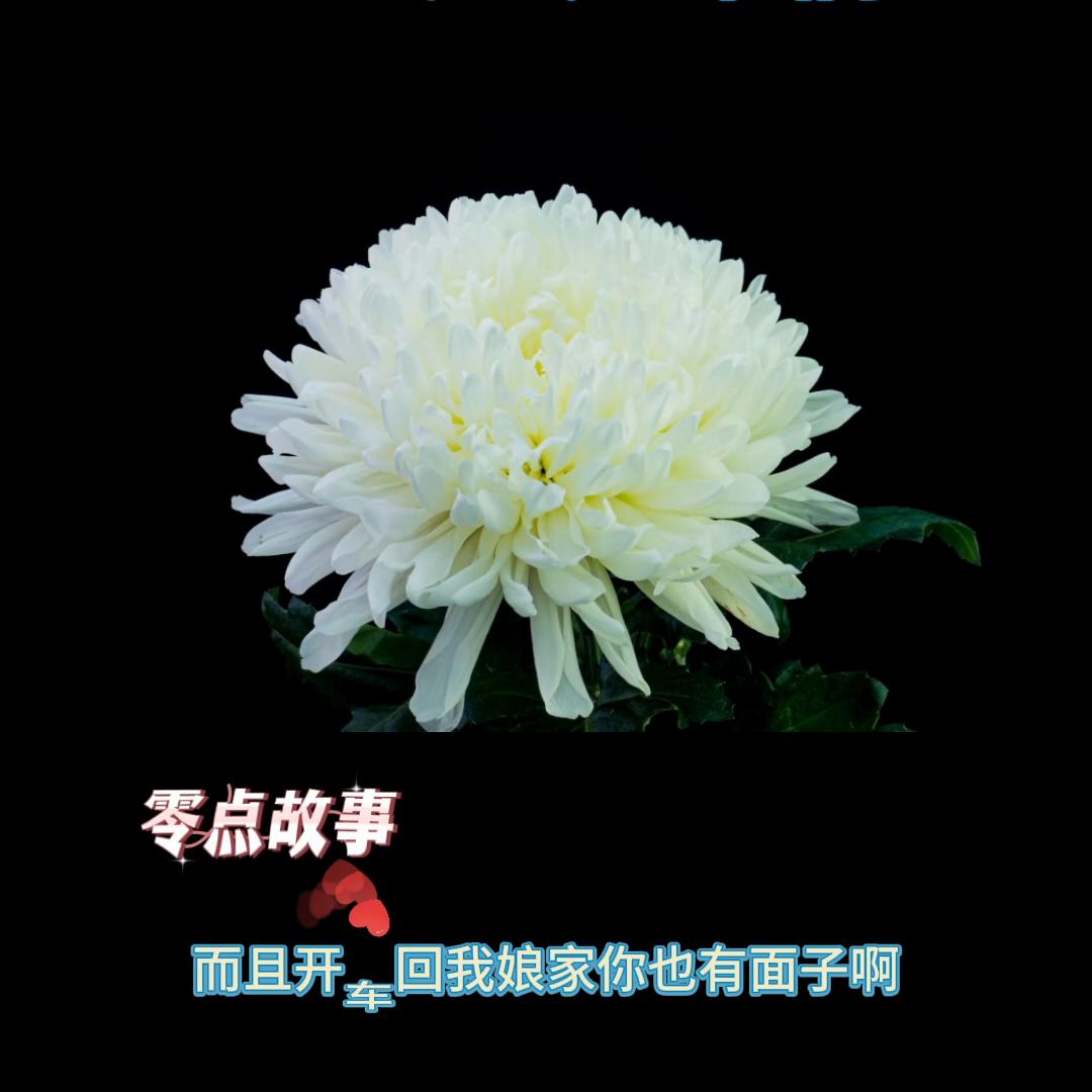 祝朋友开心快乐每一天祝福语 (祝朋友开心快乐的文案)