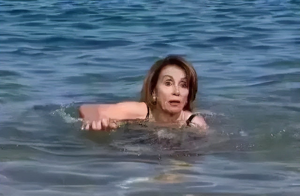 佩洛西现在是谁,佩洛西到底是什么人物身份