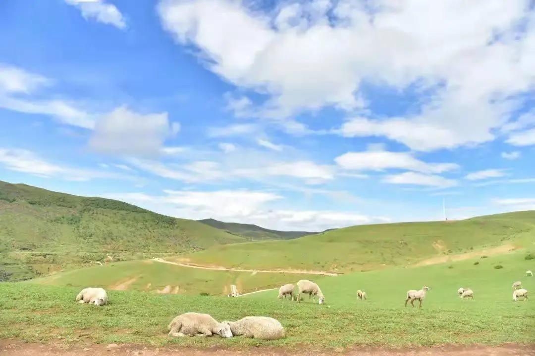云南避暑旅游好去处推荐,云南避暑有哪些景点好玩