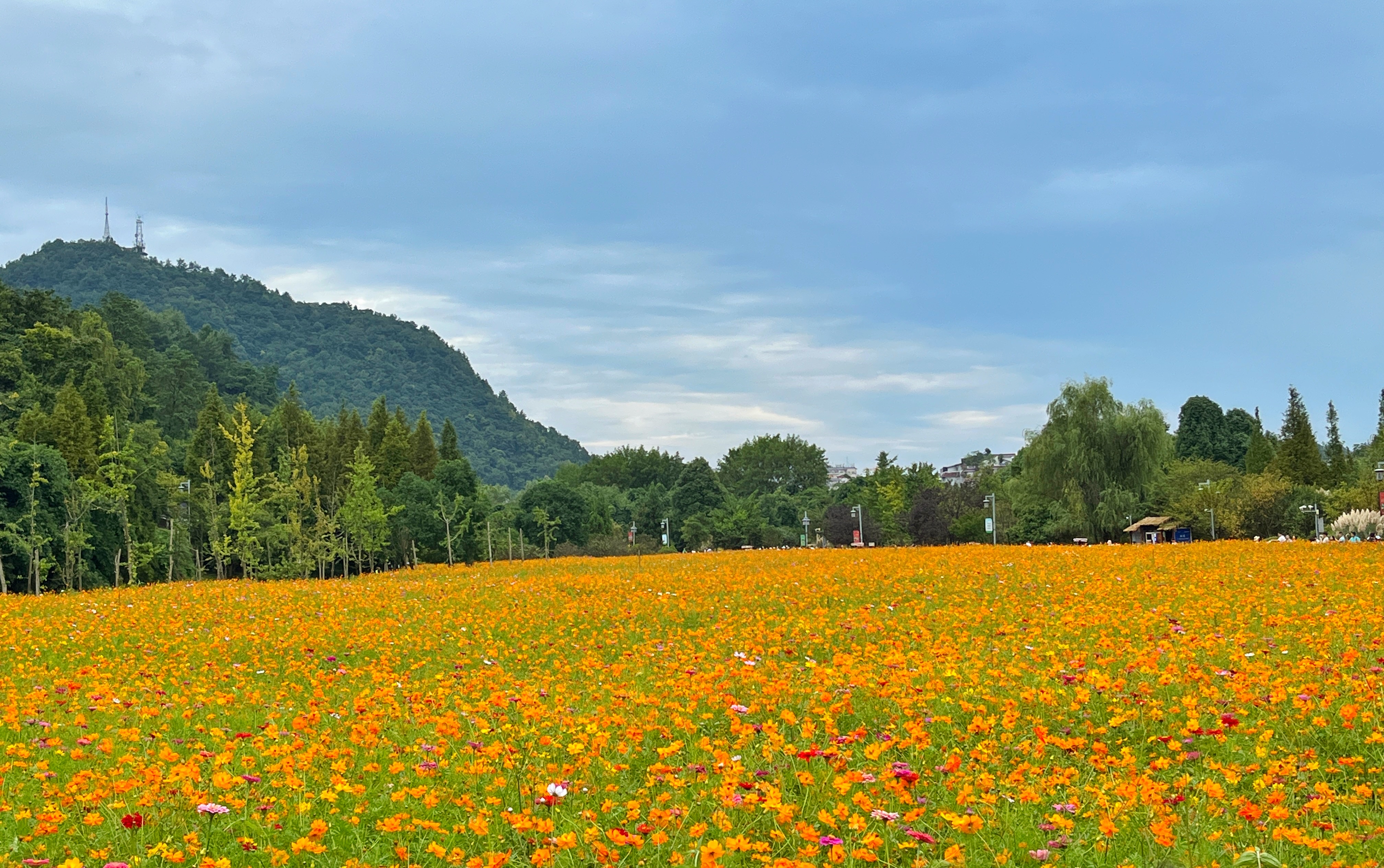 贵阳周边游玩一日游推荐秋冬,贵阳省钱旅游攻略