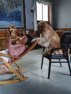 小蛇化身美杜莎,小蛇瞬间变成美杜莎