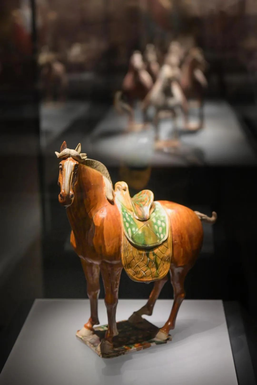 关中民俗博物馆文物游记,关中民俗博物志