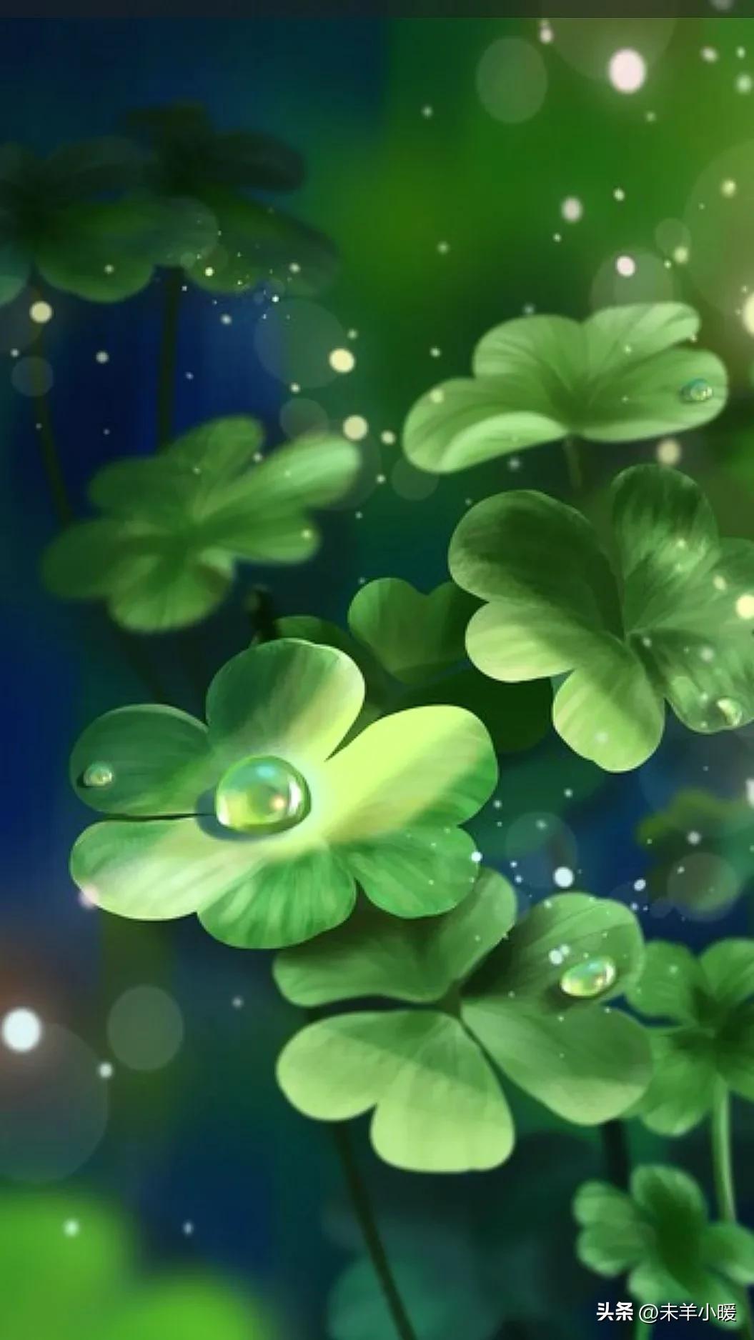 最美的手机壁纸大全,养眼养心的壁纸