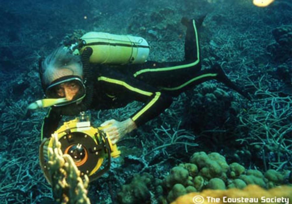 欧莱雅微藻,欧莱雅微藻护肤品