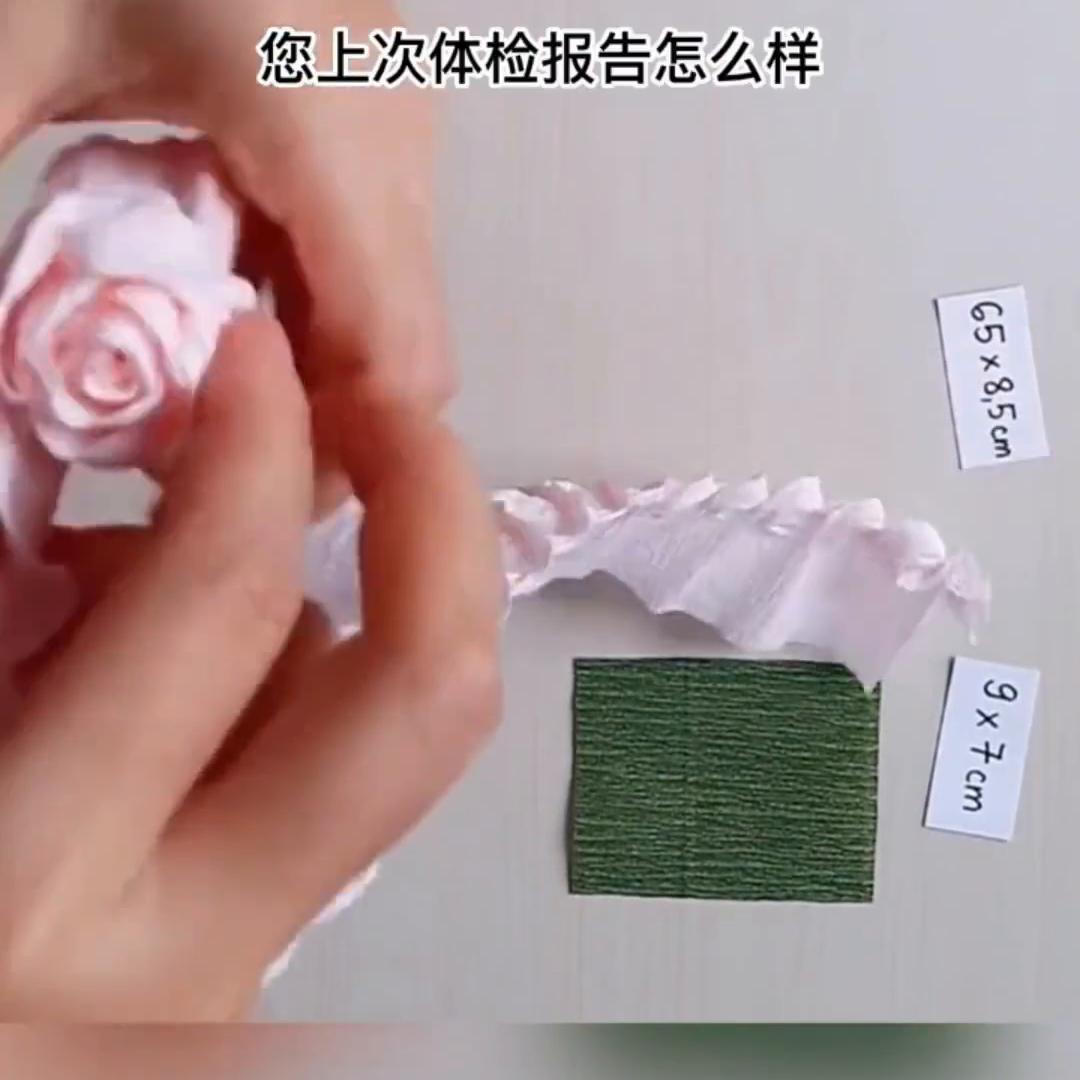 替身以月光#今日分享