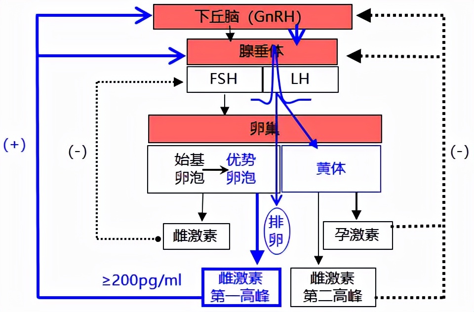 怕她不来又怕她乱来的文案,怕她不来又怕她乱来出处