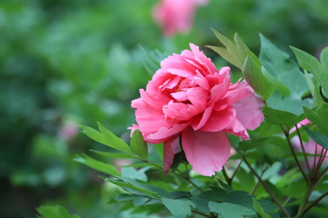 昆明七彩云南怎么样,七彩云南避暑家园