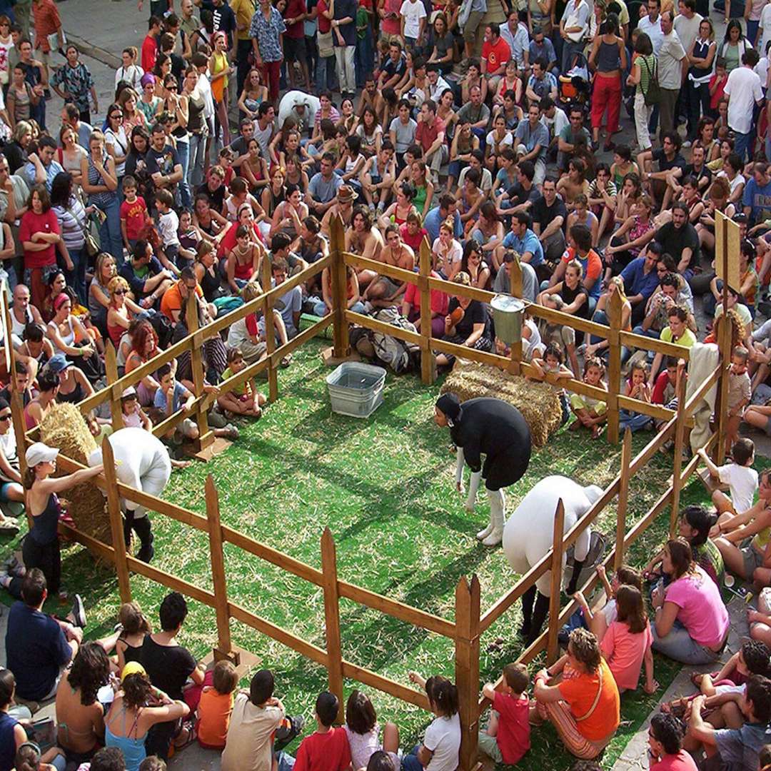 加拿大舞团harry,加拿大舞团模仿羊