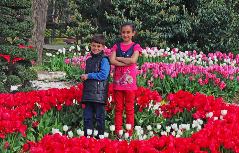 荷兰银行靠谱吗,荷兰的银行