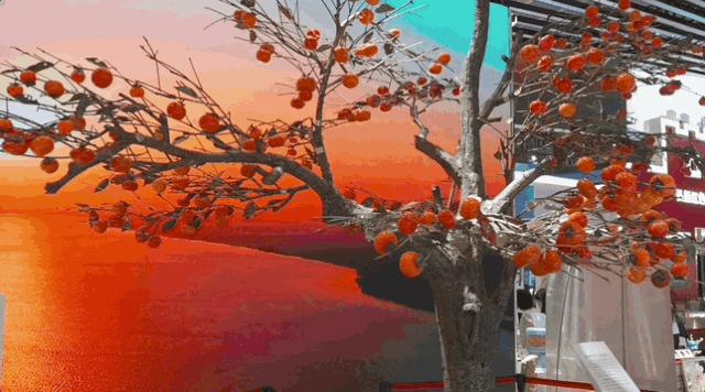 30秒带你逛完展览,带你挖宝藏真实视频