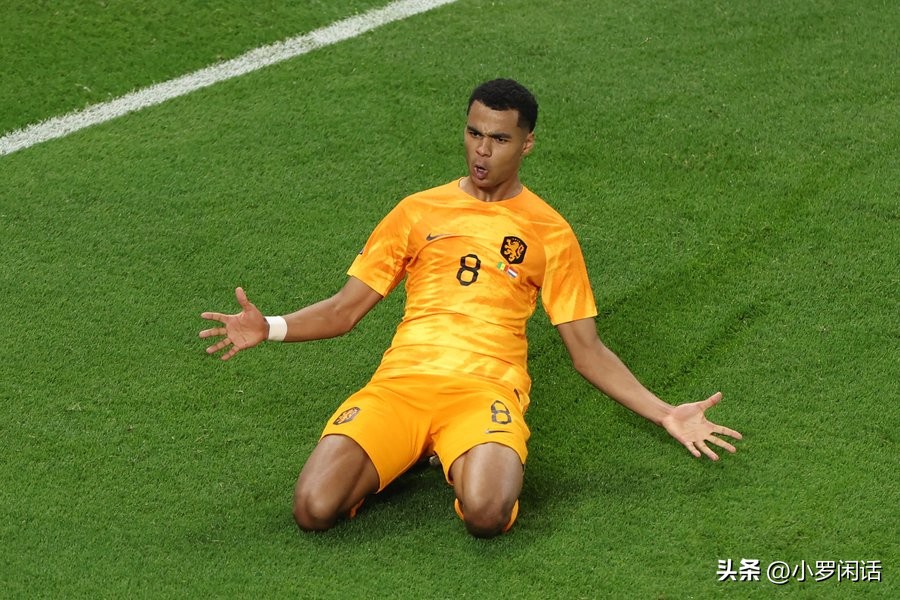 世界杯32支球队全家福,世界杯集锦24