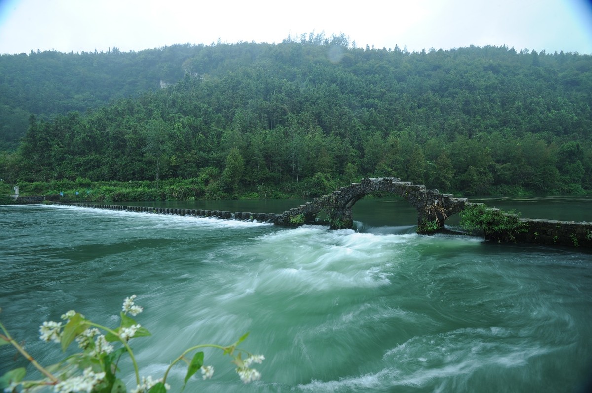 原浆酒鬼酒与馥郁香的区别,天人共酿基酒