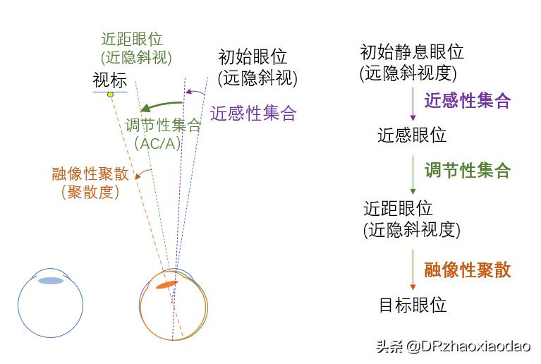 视功能和调节力报告解读