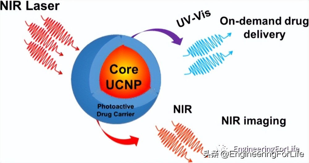 转换思维在生活中的运用,水凝胶纳米粒子