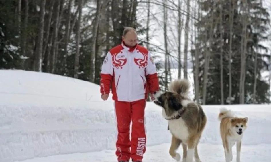 普京到底有多喜欢狗,普京为啥这么多人喜欢他