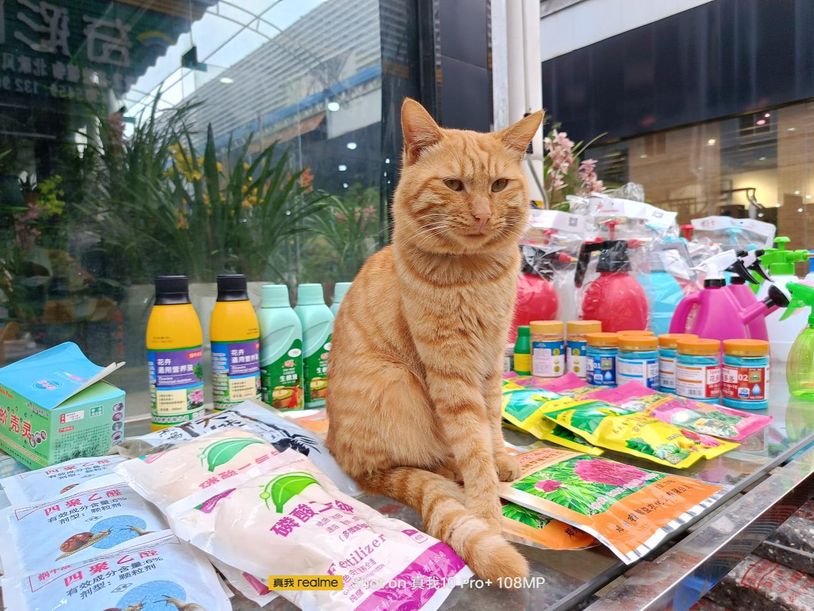 真我10pro手机曲面屏,真我10pro曲面屏评测