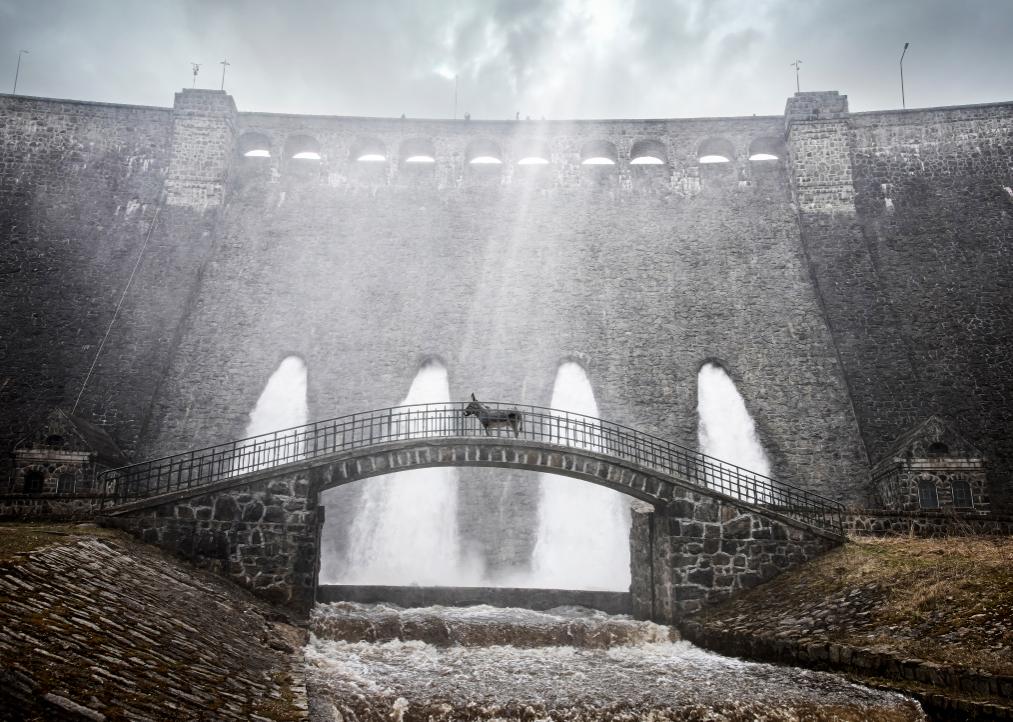 关于驴的电影大全,关于驴的电影解说