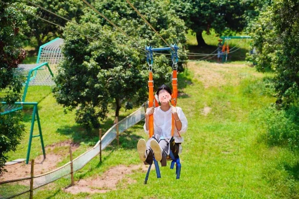 岭南景区民宿,岭南式民宿