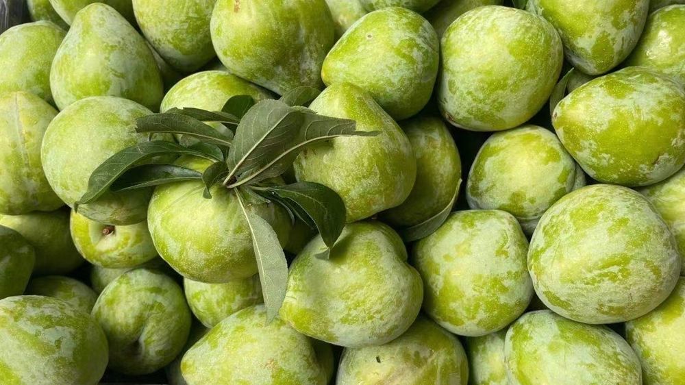 商业大型水果店的利润怎么样,2022水果店利润有多大