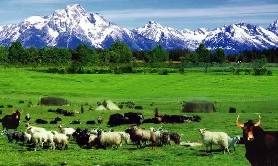 为什么奥巴马挑战半个地球,奥巴马为什么这么牛