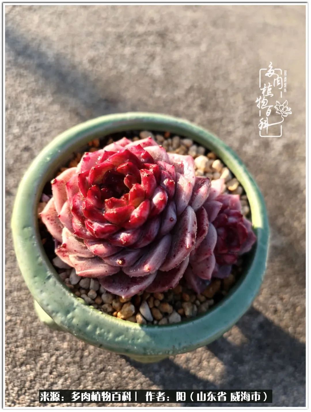 浜洪棿鐑熺伀鑷湁涓囧崈棰滆壊,浜洪棿鐑熺伀鐨嗘槸骞冲嚒棰滆壊