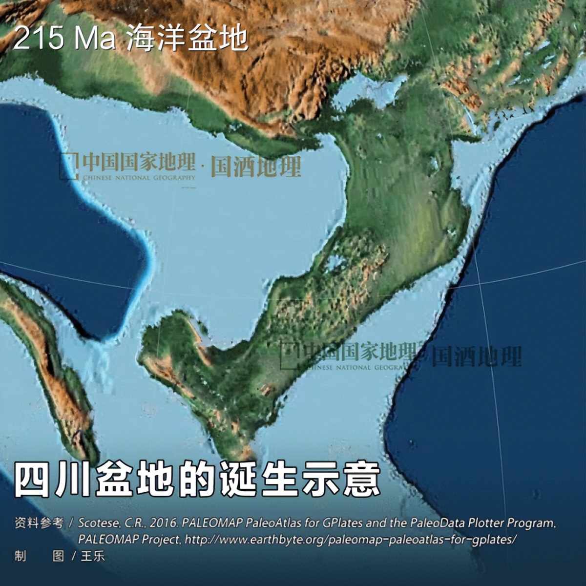 水井坊1号菌群,水井坊一号