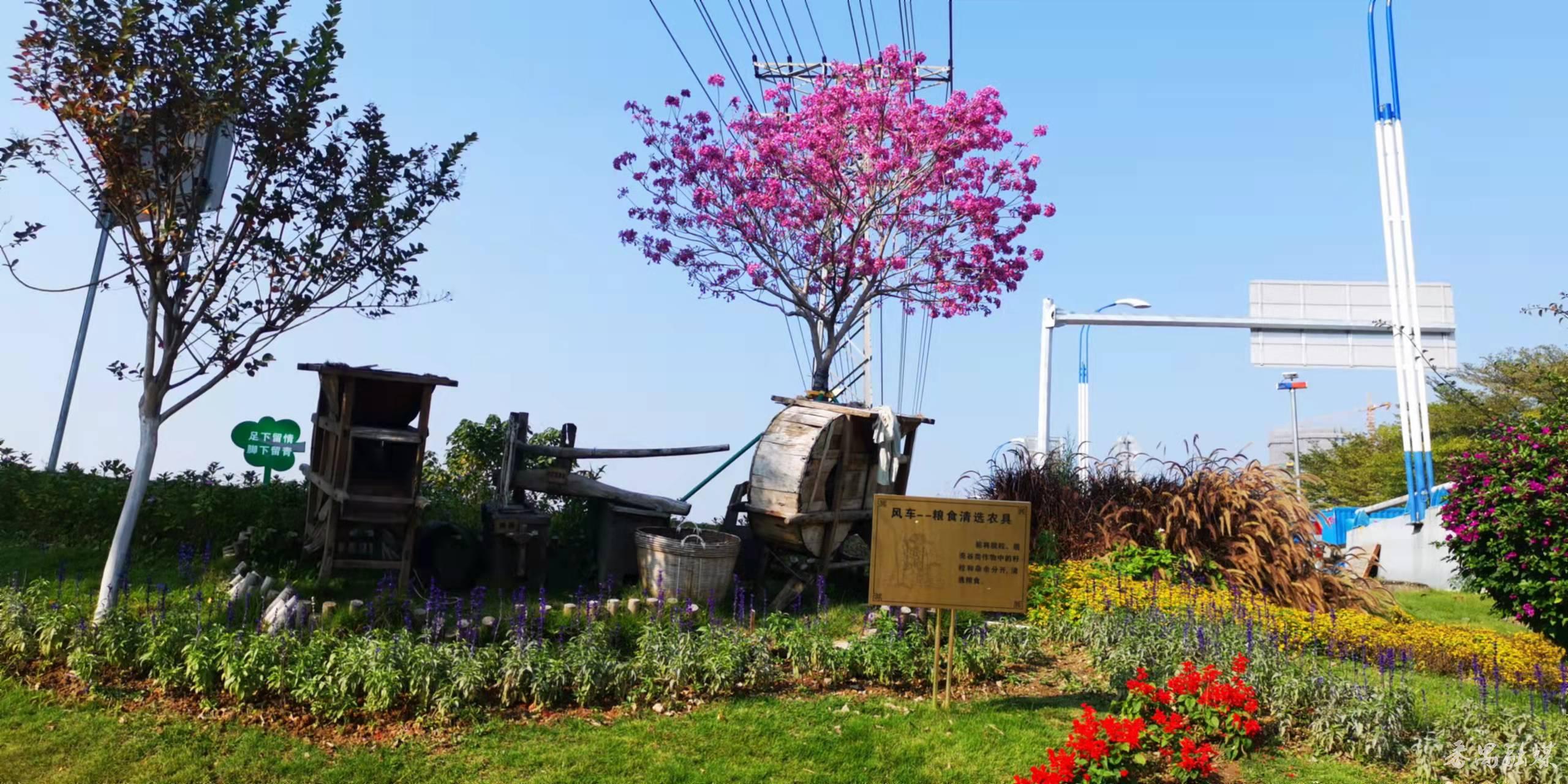 一脉碧水,两岸碧道!番禺钟村街胜石河周边美翻了