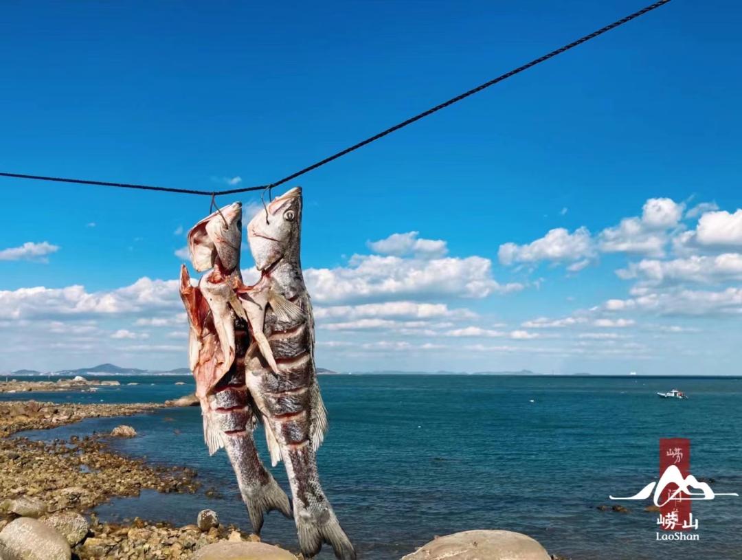 要去有风的地方短句,想去有风的地方怎么办