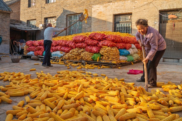 为什么现在农村年轻人不愿意种地,农民对种地看不到希望