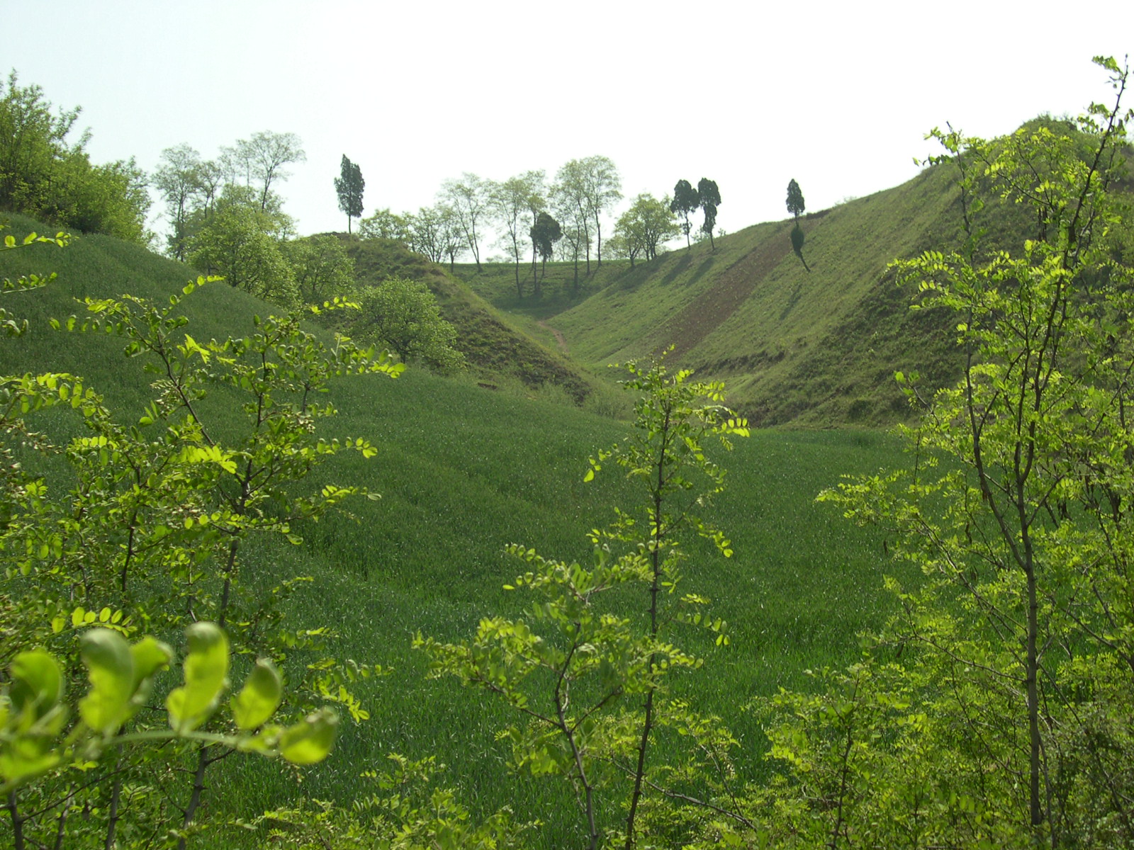 发·孔明一字文（14）