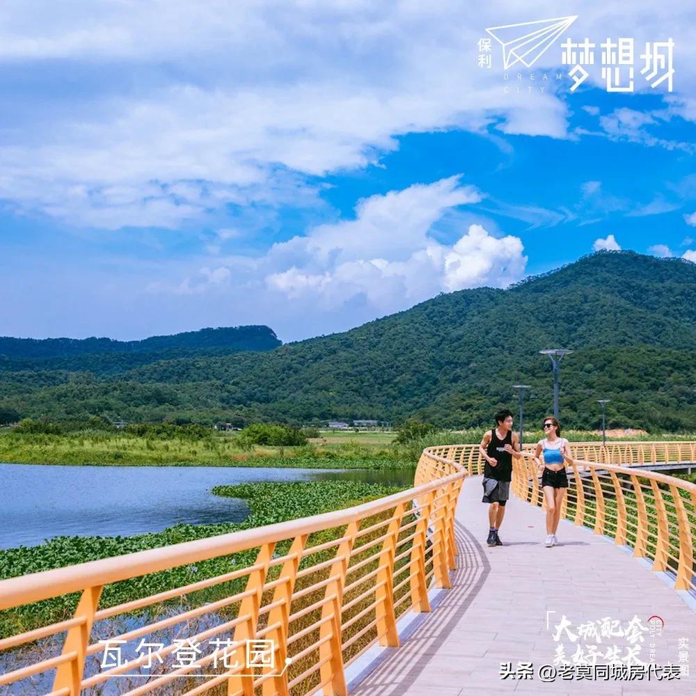 保利房子首付98万,保利资金链问题