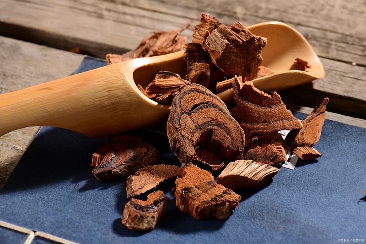 伸筋草搭配海风藤可以治痛风吗,五指毛桃土茯苓鸡血藤能治痛风吗