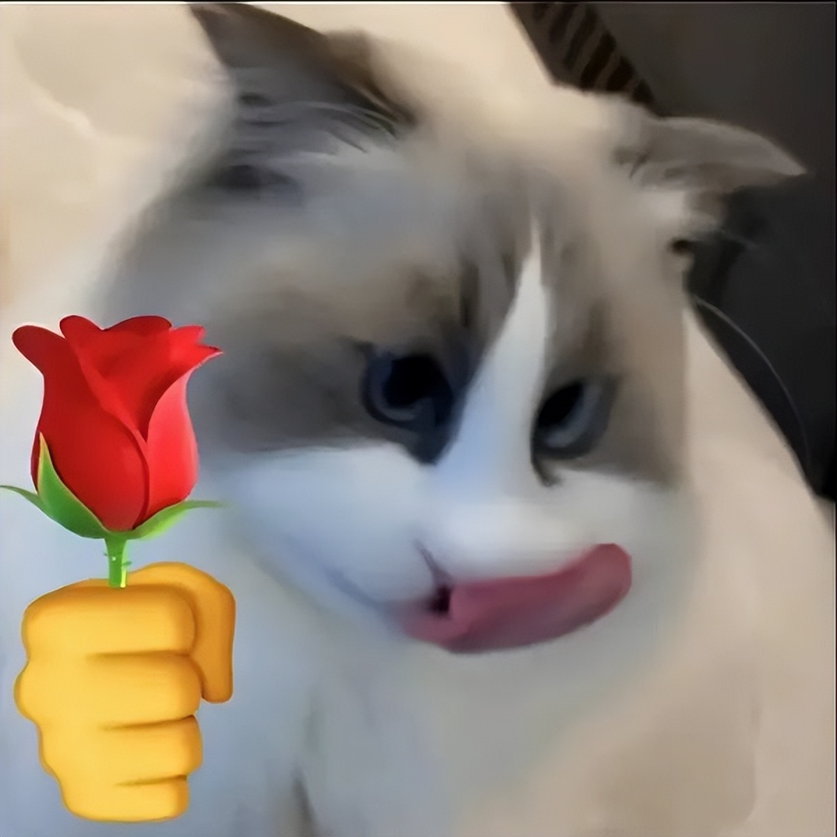 贩剑表情包评论区,贩剑表情包不回消息