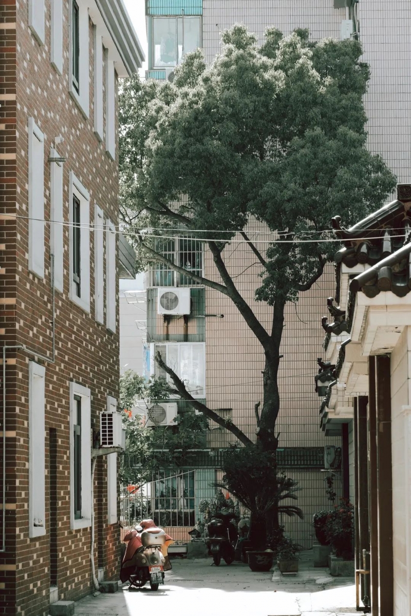 《张家港》，一部自带热度的电影