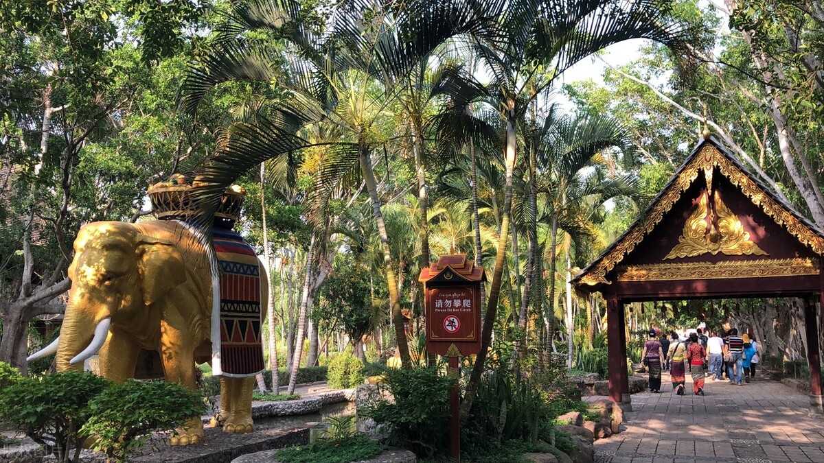 春节去云南哪里游玩有特色,春节除了云南还有哪里好耍