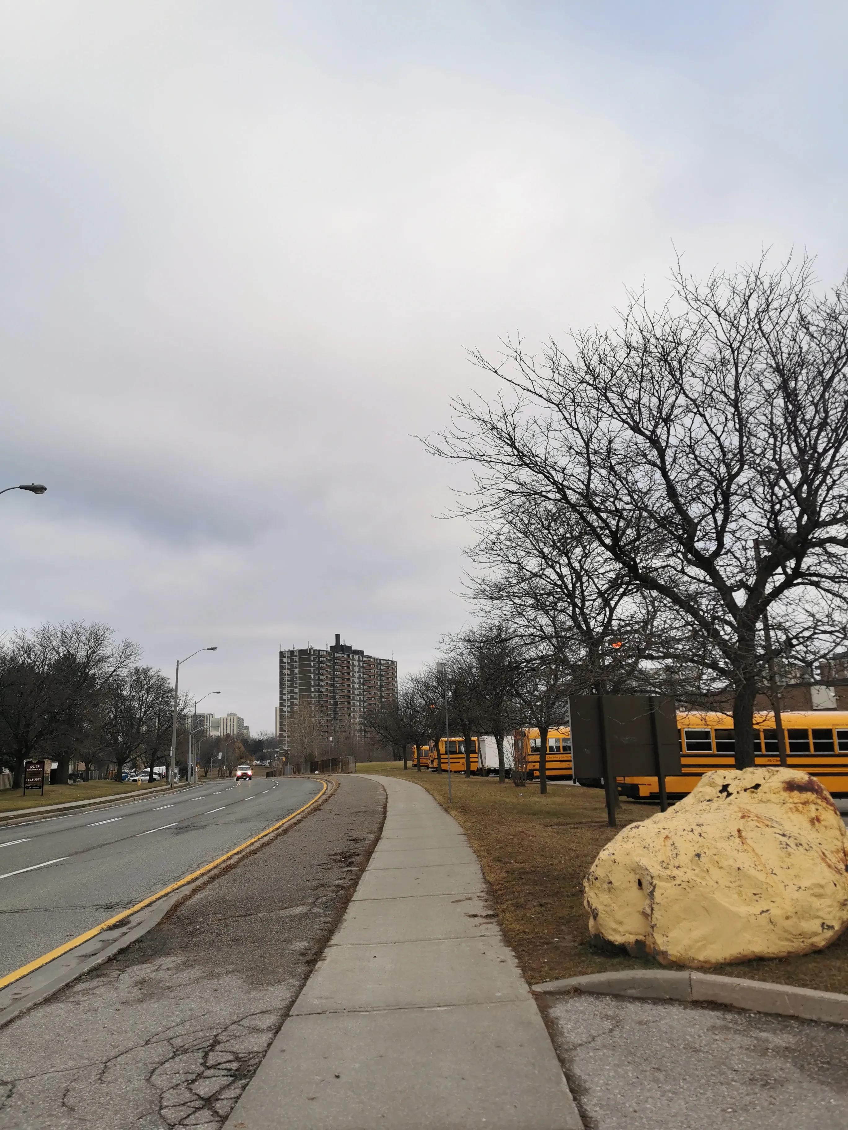 加拿大超市购物必买,加拿大购物付款