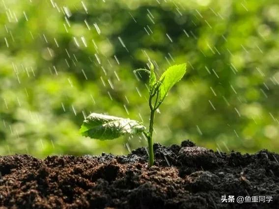 入伏这天天气预示什么,出伏当天天气好是啥预兆