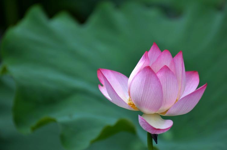 你的微信名早已暴露了你的一切,你的微信名暴露了你的性格