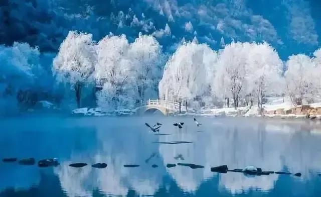 岁月不忘年轮,岁月带走年轮