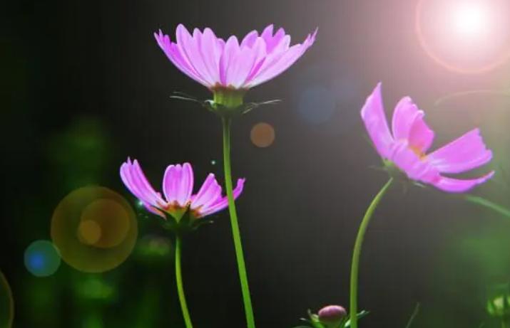 怎么写课后点评,课后点评如何写