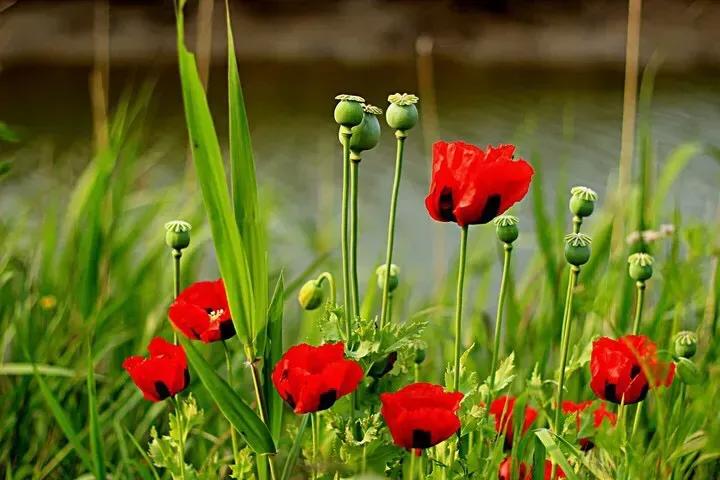 微信里的人都有什么特征,怎么查看微信里的秘密