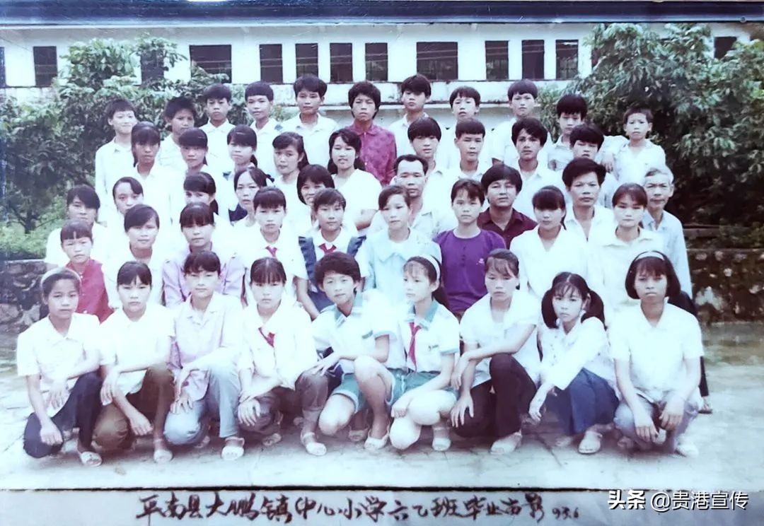 大鹏中心小学温逸宏,大鹏中心小学陈小波