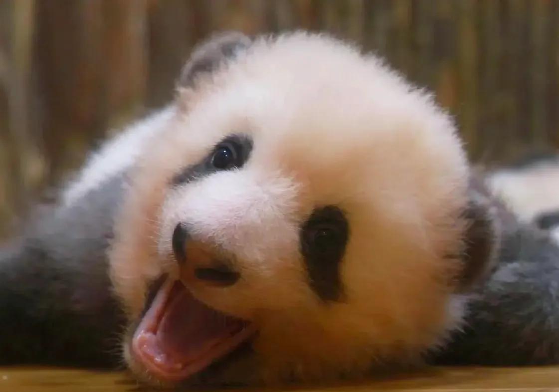 中美直航恢复时间,2023年美国航空中美直航航线