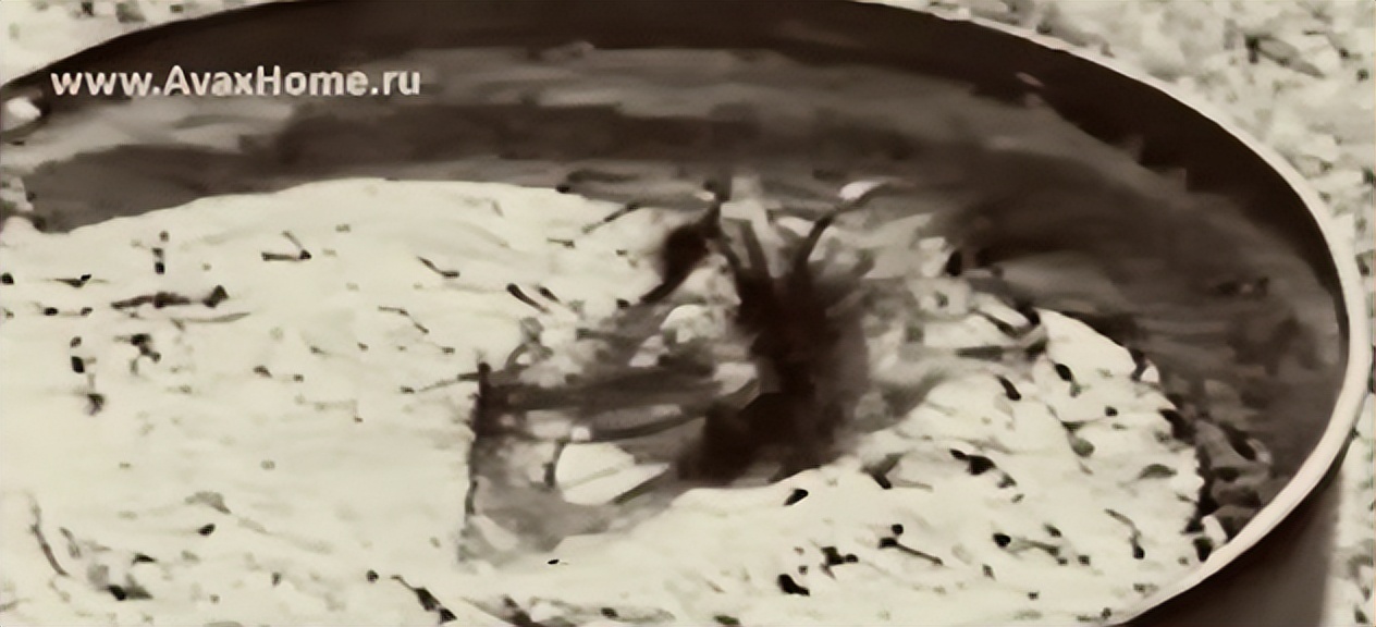 17岁少女绑做*力暴**玩具41天，死后弃尸水泥！改变日本法律的案件