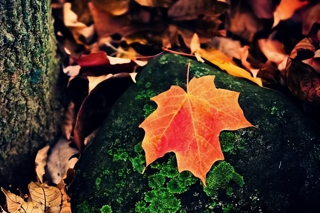 “是人是鬼，一看便知”，看清一个人，无需日久，三招识破