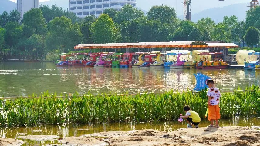 定格美好瞬间校园摄影大赛,2021年定格最美瞬间摄影大赛