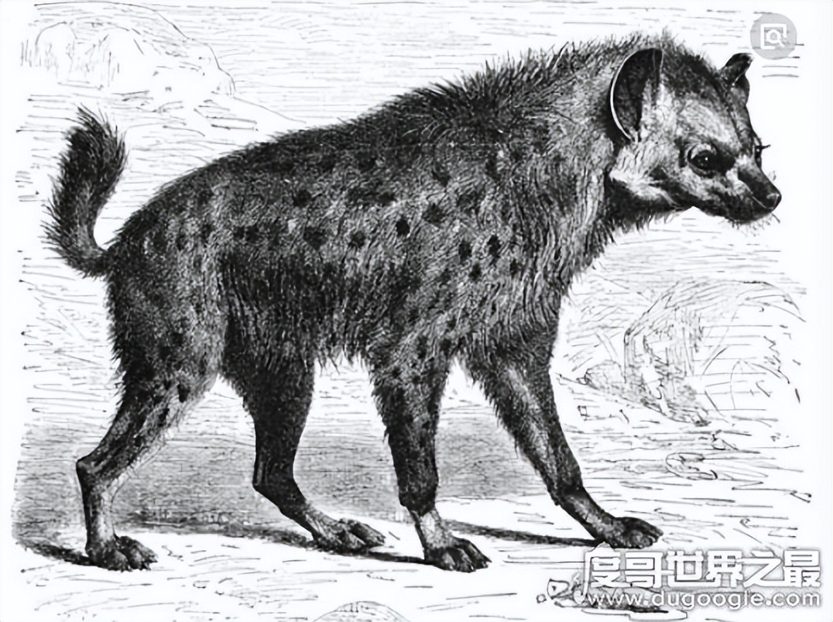 妖怪名单最强排行榜,中国妖怪简介大全