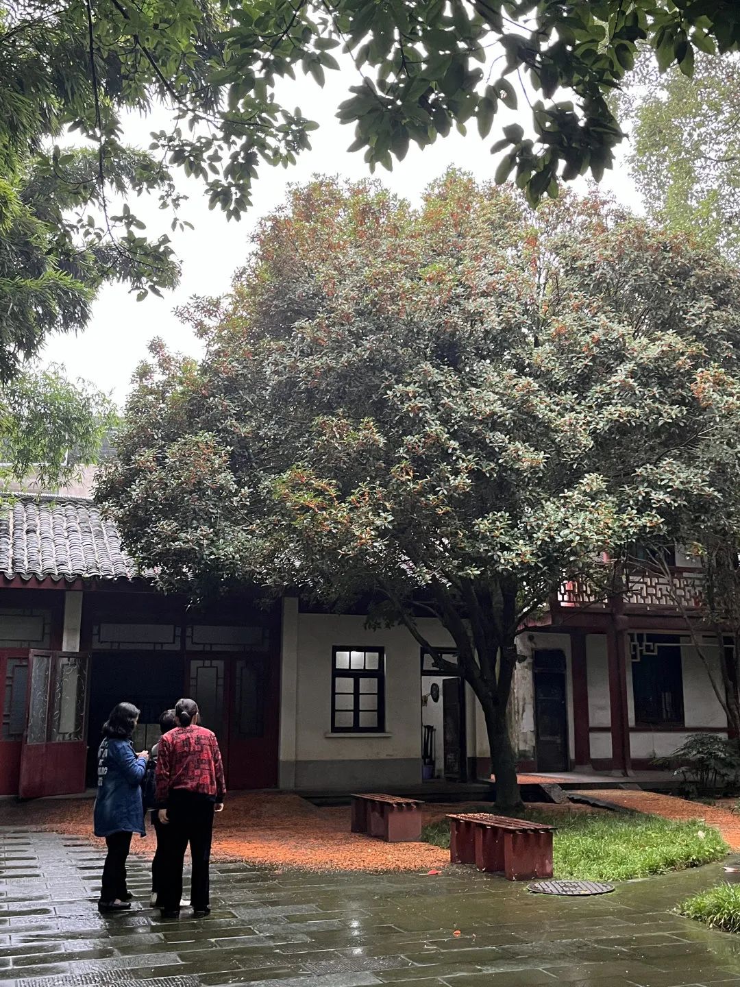 江油哪里看月亮好,江油夜晚风景
