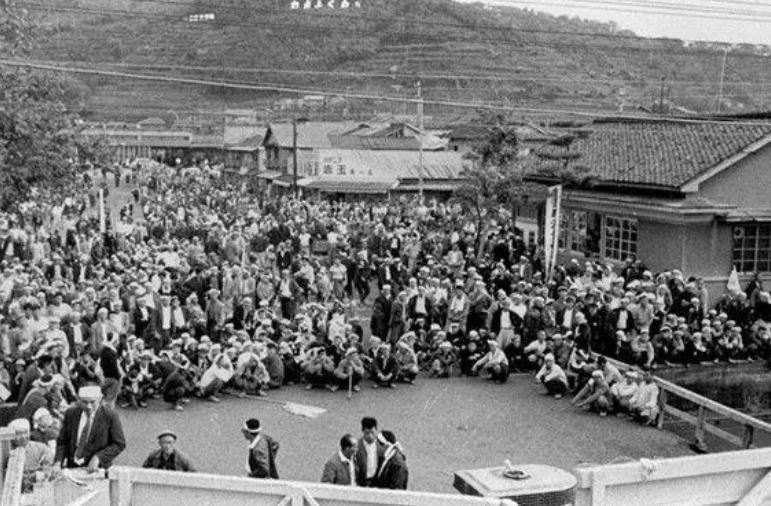 日本爆发罕见怪病事件的原因,日本爆发怪病事件最新